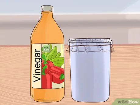 Get Rid of Flies Outside of Your House